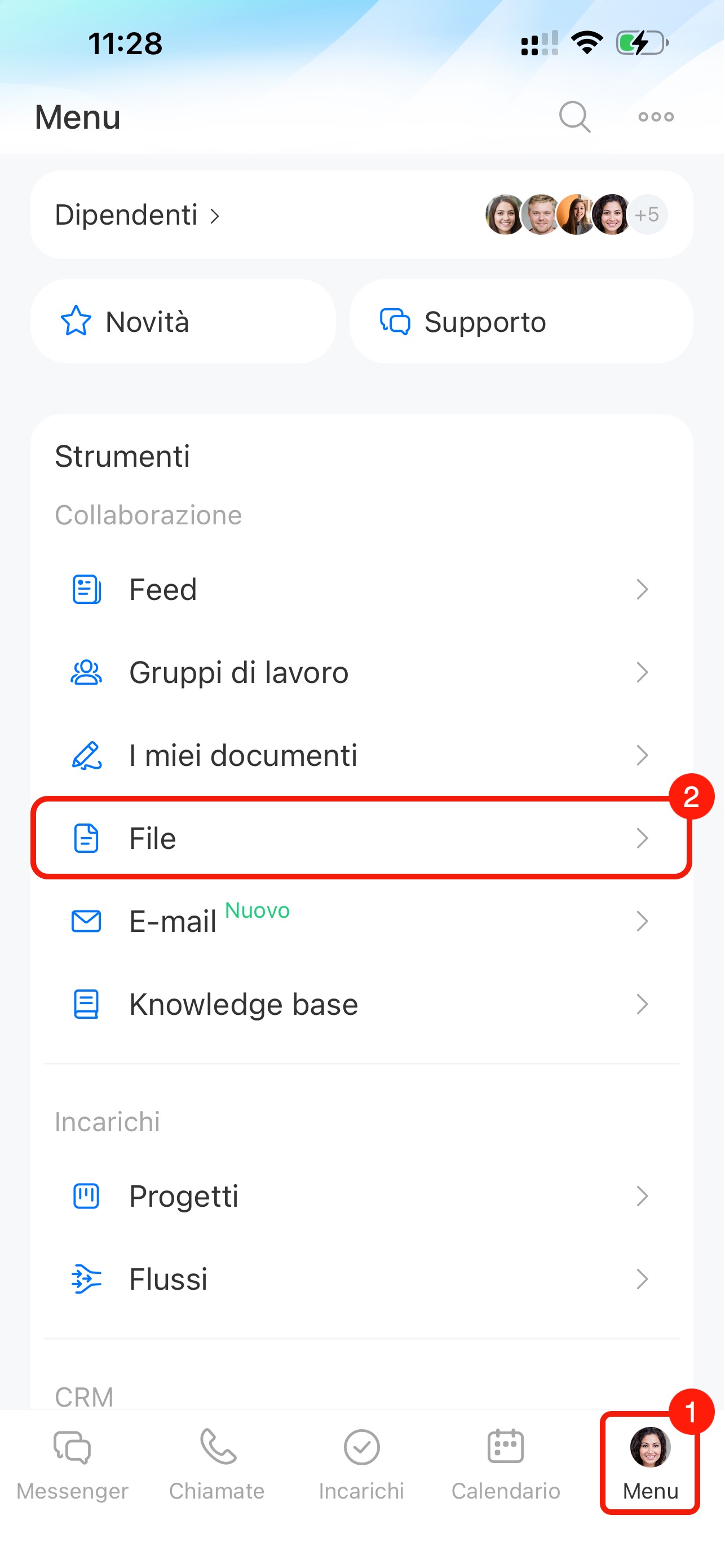 Come gestire i file nella collab